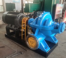 安徽色婷婷久久一区二区三区麻豆